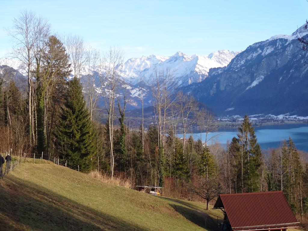 Seeli Hofstetten bei Brienz 객실 사진