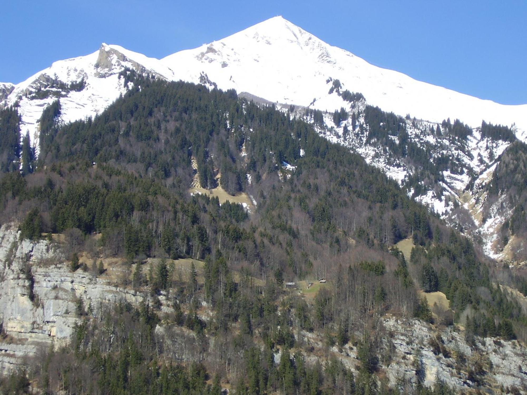 Seeli Hofstetten bei Brienz 외부 사진