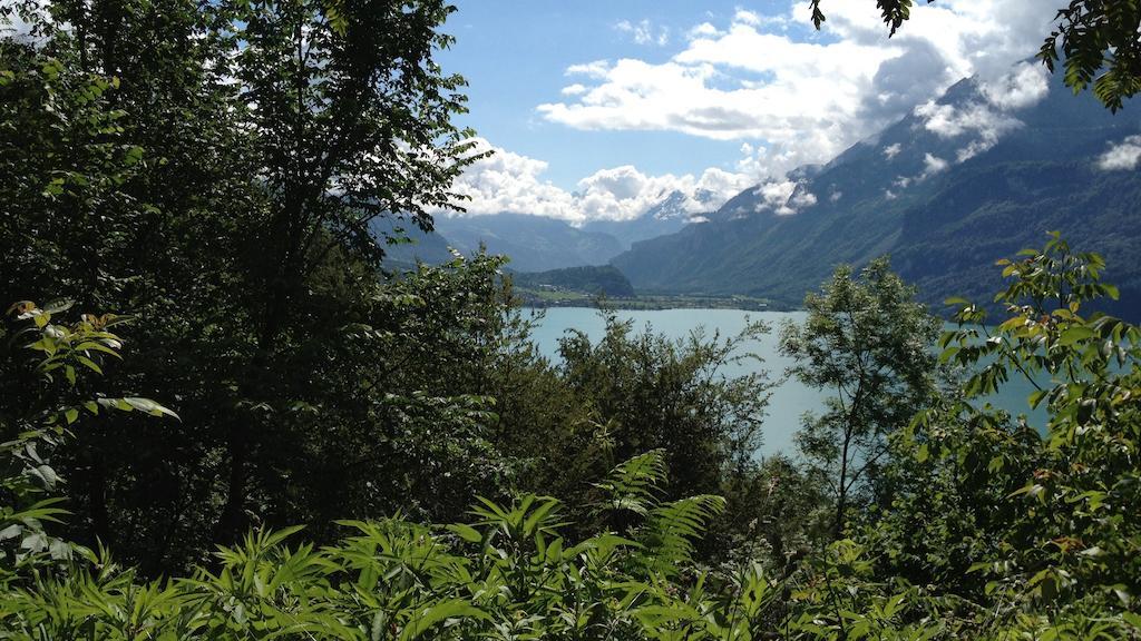 Seeli Hofstetten bei Brienz 객실 사진